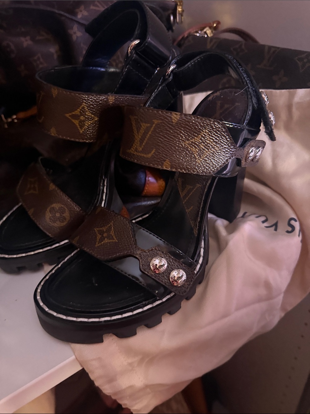 Louis Vuitton Monogram Chunky Heel Sandals in Brown and Black